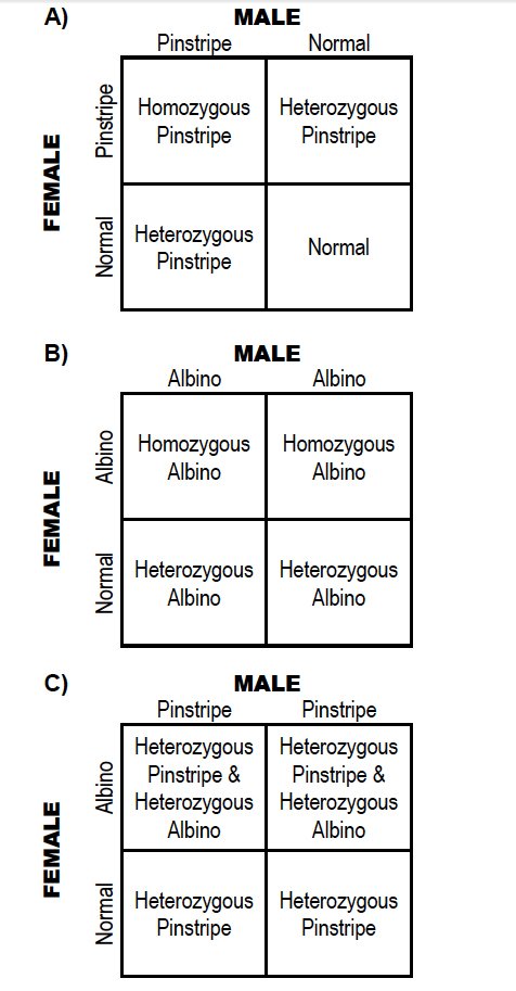 figure 1 reptile genetics
