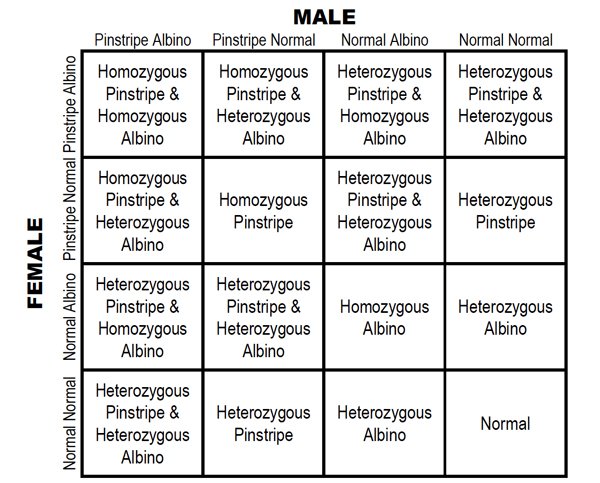 Figure 2 reptile genetics