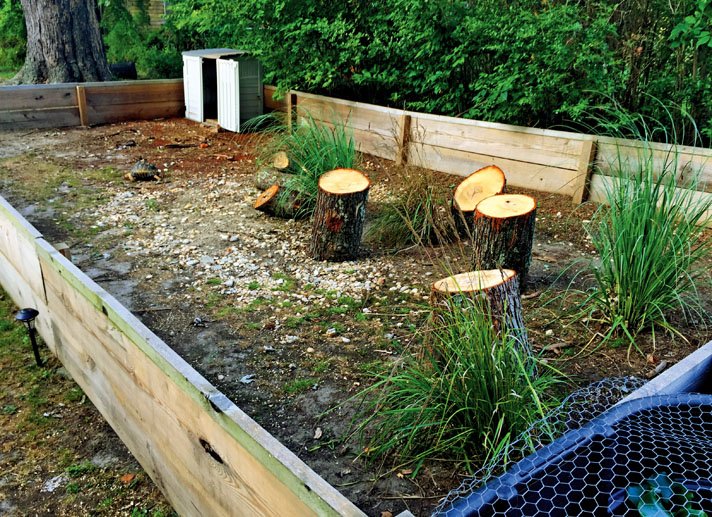 Outdoor enclosure for leopard tortoises.
