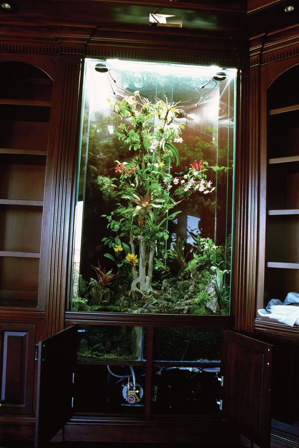 reptile misting system