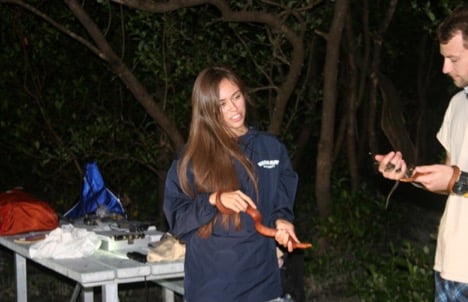 Rebekah pettit salt marsh snake