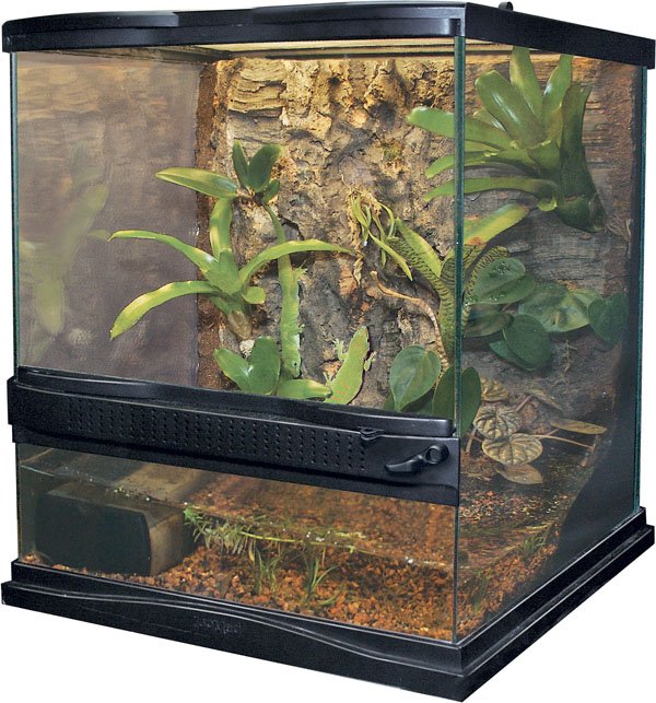 reptile enclosure