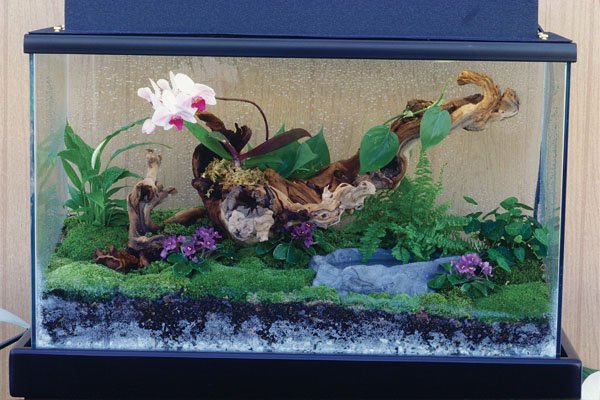 reptile enclosure