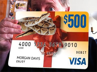 vis gift card from ReptilesMagazine