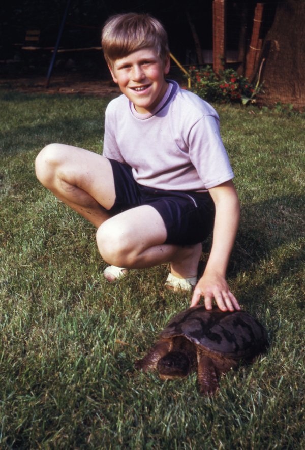snapping turtle