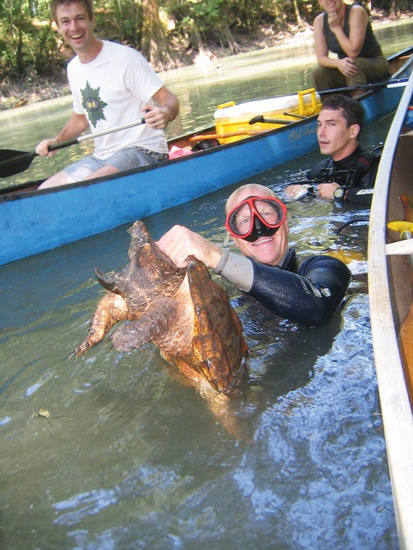 Alligator snapping turtle