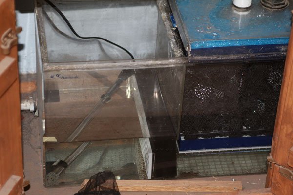aquarium heater in sump