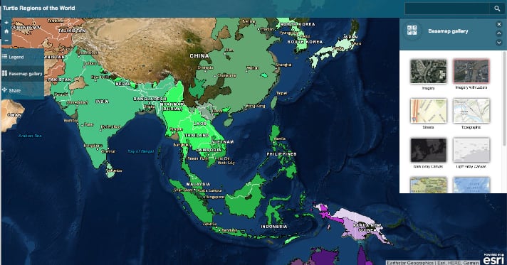 Turtle regions of the world
