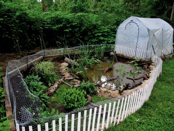 West african mud turtle enclosure