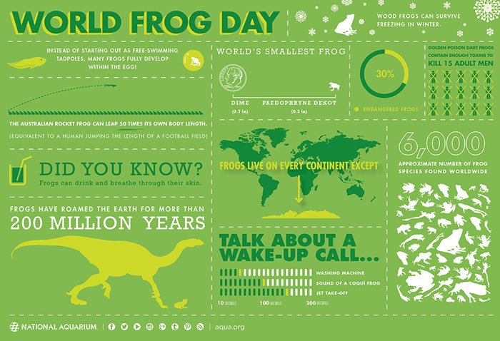 World Frog Day