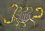 Scorpion Embroidered Cap
