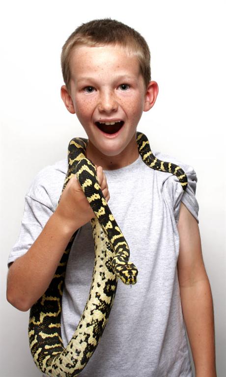 If you want to give a young child starting out in the hobby a live reptile as a gift, choose an appropriate beginner species, such as a leopard gecko or corn snake. Save the carpet pythons until later.