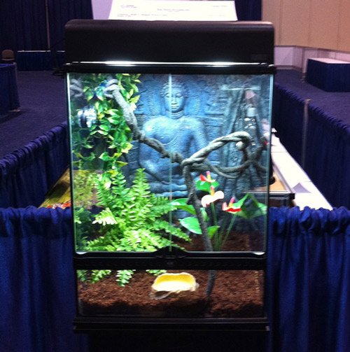 Check out the slideshow of reptile products at Global Pet Expo 2011 below.