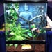 Russ Case - Global Reptile Products for 2011!