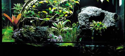 vivarium