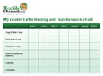 ReptileChannel's Cooter Turtle Feeding Chart