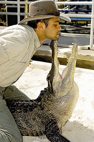 gatorland wrestler