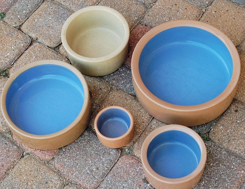 water bowls are important for herps