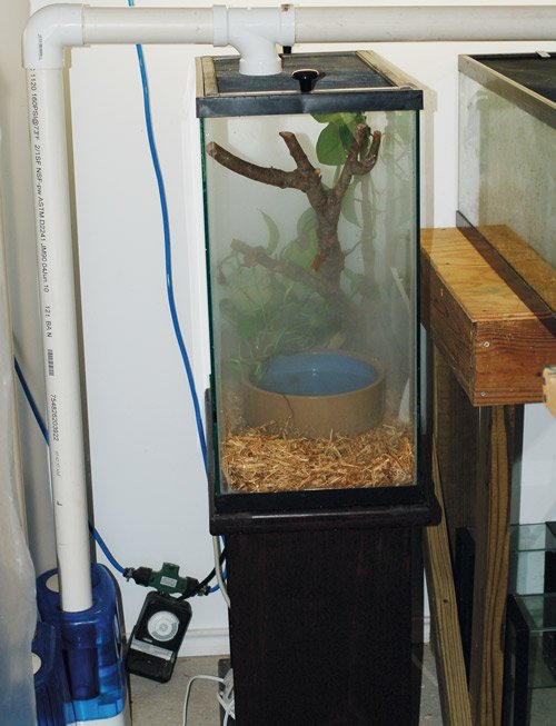 cool mist humidifiers
