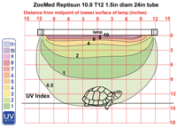 reptile lighting