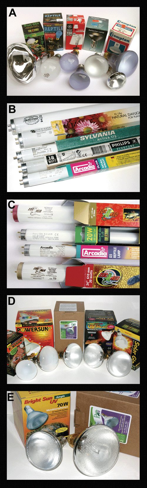 UV and UVB reptile lights
