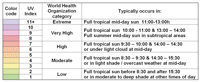 reptile lighting