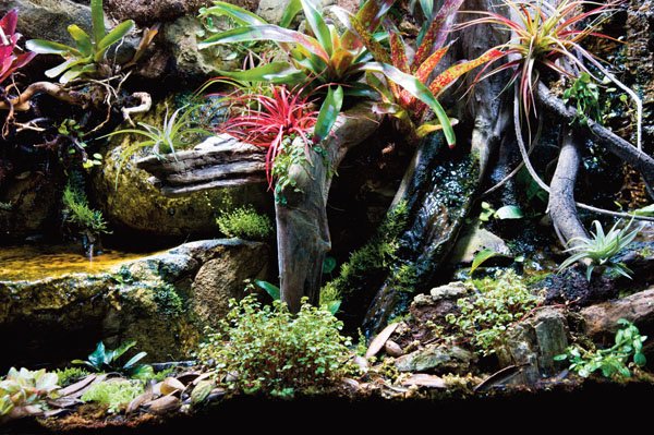 vivarium