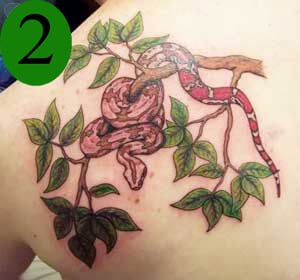 tattoo contest