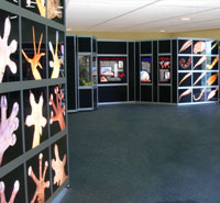 The exhibit is going to me traveling all the U.S. to educate and entertain