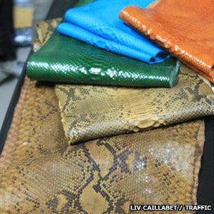 python skins