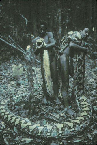 agta negrito tribe of Philippines