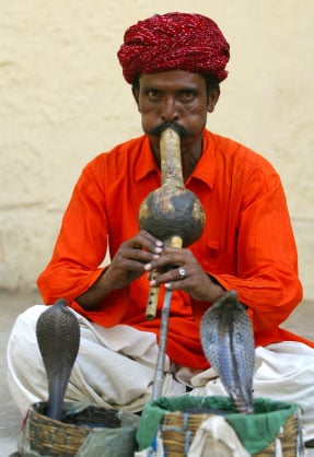 Snake charmer 
