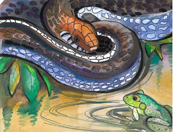 Timothy erwin art