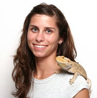 common sight at reptile expos is a shoulder-riding iguana or, perhaps more likely these days, a bearded dragon.