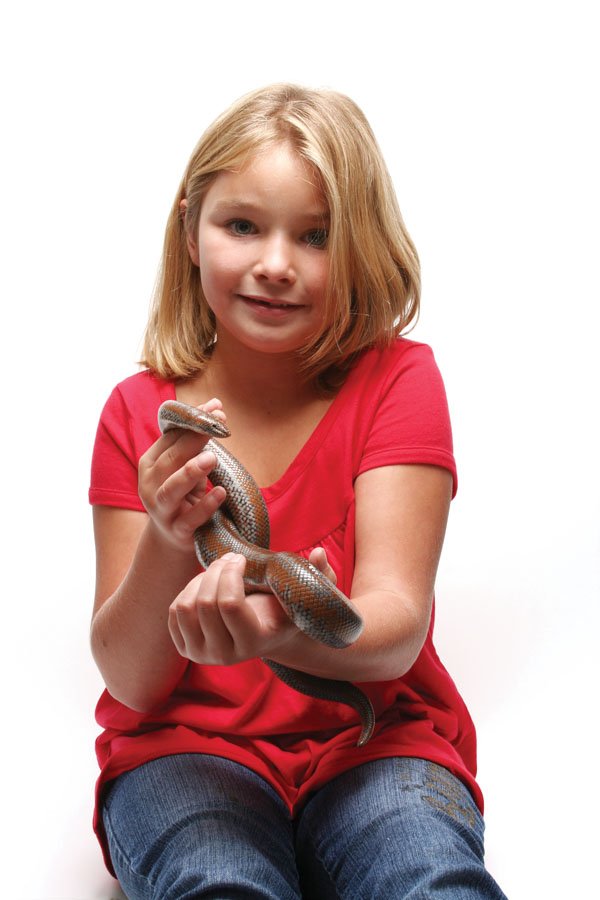 13 Tips To Better Reptile Handling Reptiles Magazine