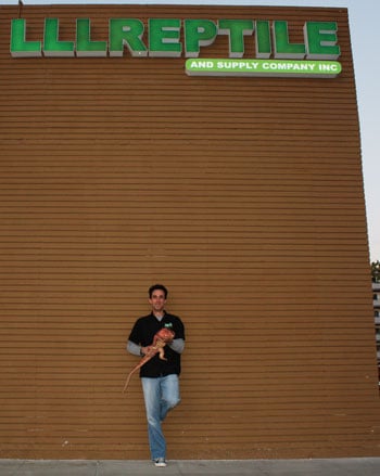 Reptile Retailer Spotlight: LLLReptile Of Southern California