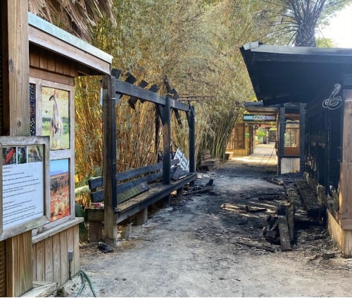 Wild Florida’s Snake Exhibit Destroyed By Fire