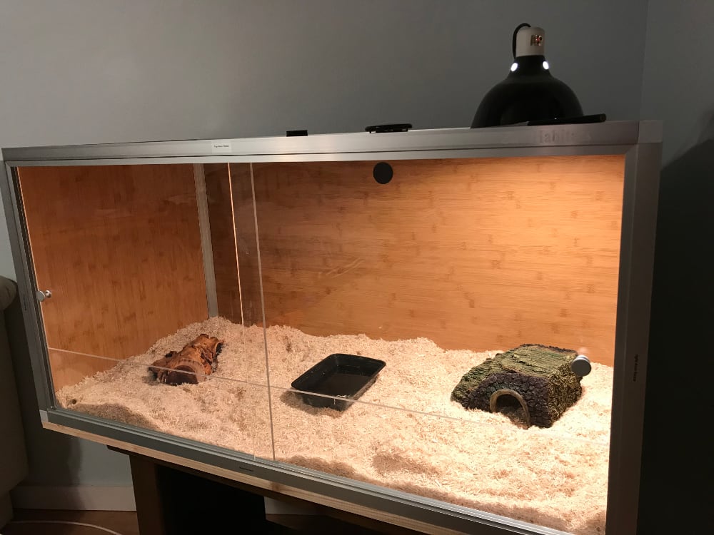 Zen Habitats 4’x 2’x 2’ Wood Panel Reptile Enclosure Review