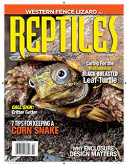 REPTILES Magazine January February 2022