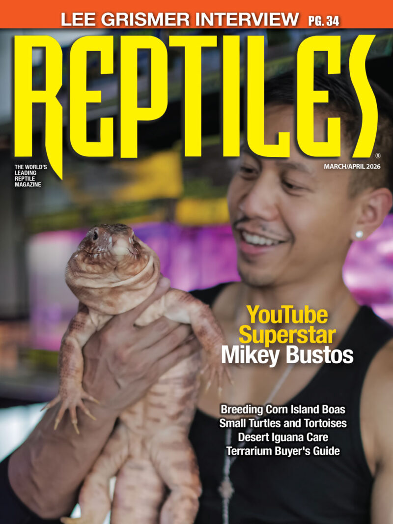 Picture Idea: Snake Respiratory System Anatomy