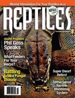 Ball Python Care Sheet - Reptiles Magazine
