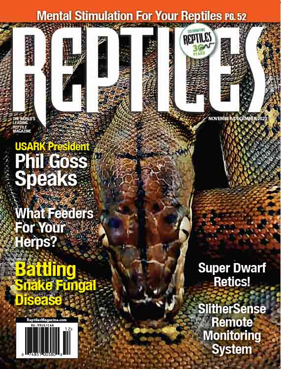 Dragon Snake - Reptiles Magazine