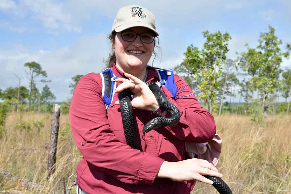 26 Eastern Indigo Snakes Released In Northern Florida