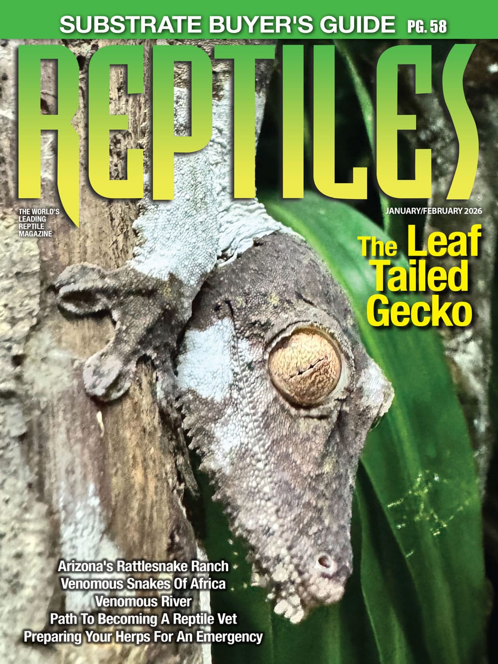 REPTILES Magazine