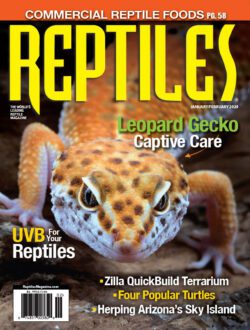 https://reptilesmagazine.com/wp-content/uploads/2022/04/janfeb-2024-250x330.jpg