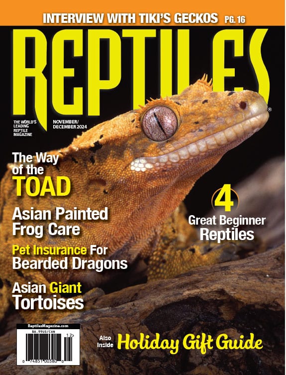 REPTILES November/December 2024