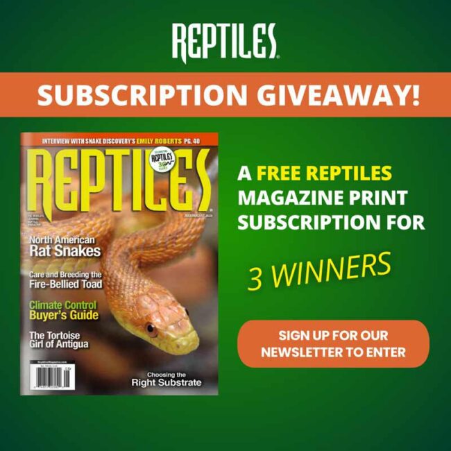 Reptile site hot sale