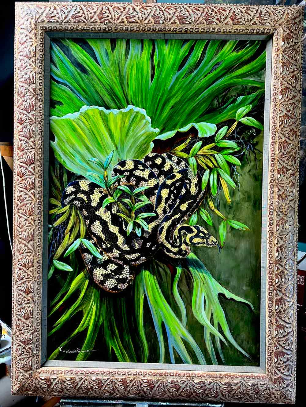 Carpet python with staghorn fern