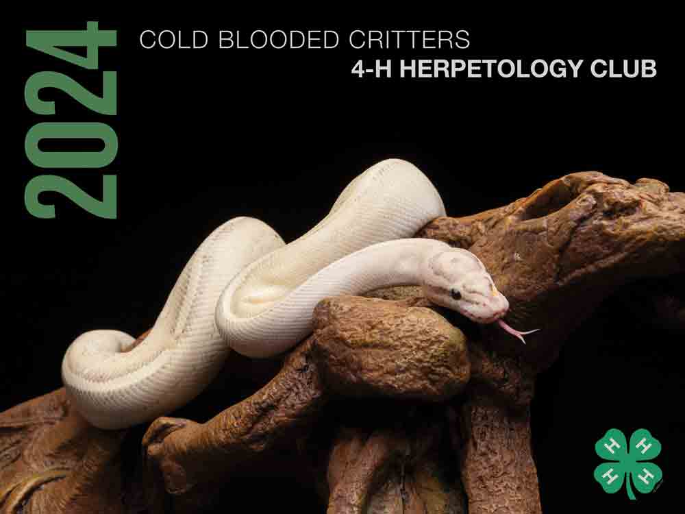 Cold Blooded Critters 4-H Herpetology Youth Club Nevada Offers 2024 Calendars