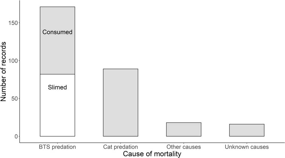 Brown tree snake prey mortality